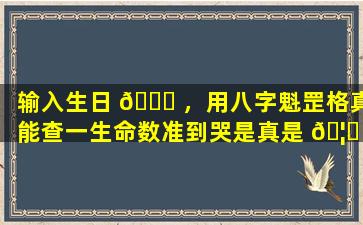 输入生日 🐛 ，用八字魁罡格真能查一生命数准到哭是真是 🦈 假